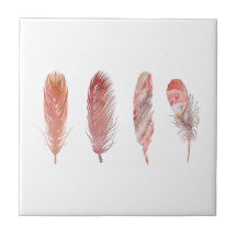 Fjädrar i rosa och korall på vit botten