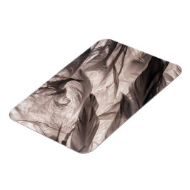 Fjädrar Magnet
