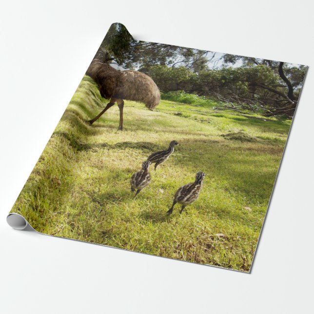 Fjädrar och fotspår:  Pappa Emuns med ungar Presentpapper (Utrullad)