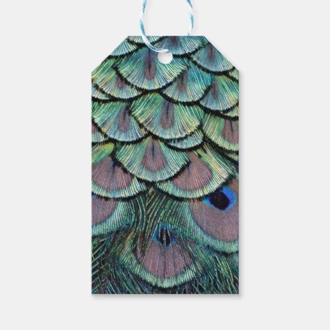 fjädrar presentetikett (Framsidan)