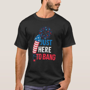 Fjällare och fyrverkerier, bara här till t shirt