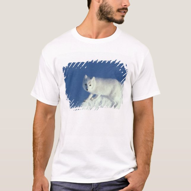 Fjällräv Alopex lagopus) En fjällräv T-shirt (Framsida)