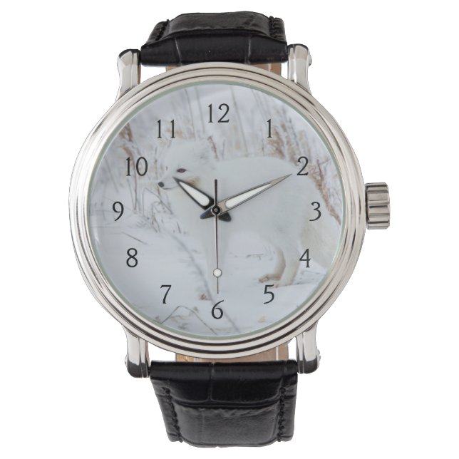 Fjällräv Armbandsur (Framsida)