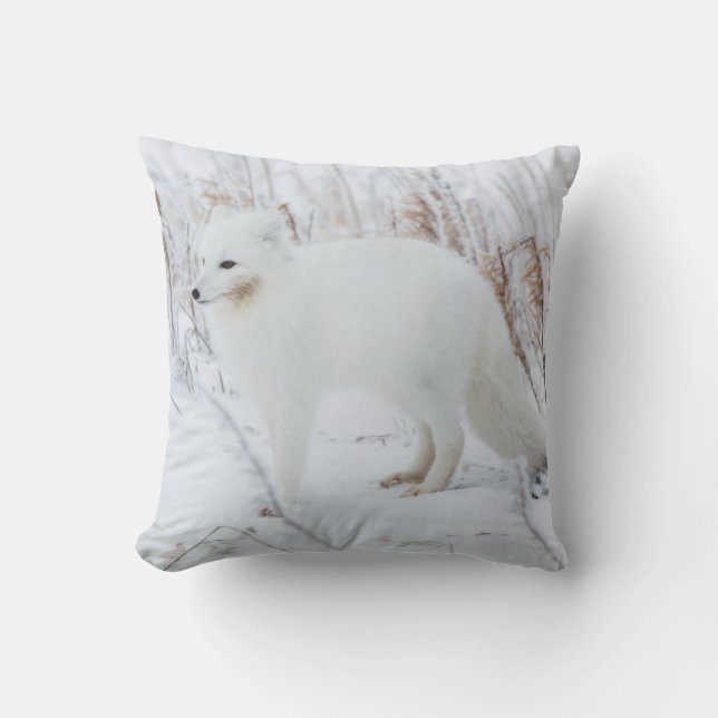 Fjällräv Kudde (Framsida)