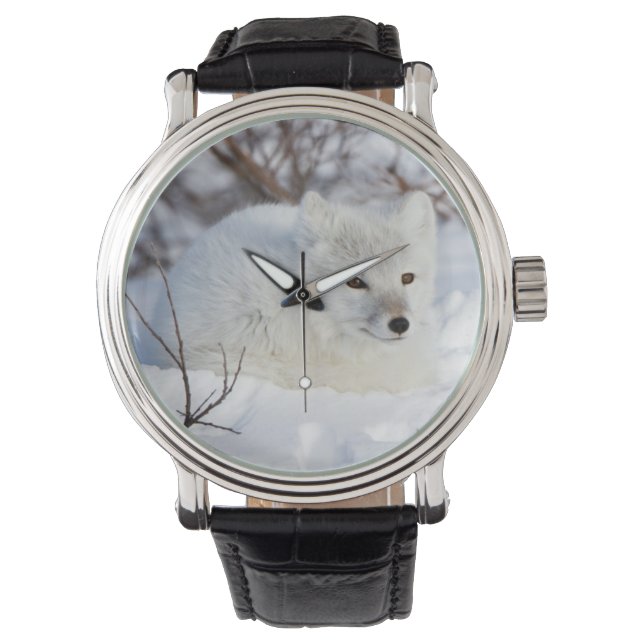 Fjällräv på vintern armbandsur (Framsida)