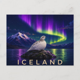 Fjällripa under norrsken | Ikoniskt Island Vykort