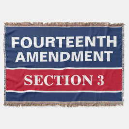 Fjärde ändringen av avsnitt 3 Konstitutionen Filt