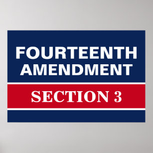 Fjärde ändringen av avsnitt 3 Konstitutionen Poster