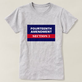 Fjärde ändringen av avsnitt 3 Konstitutionen T Shirt