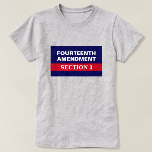 Fjärde ändringen av avsnitt 3 Konstitutionen T Shirt