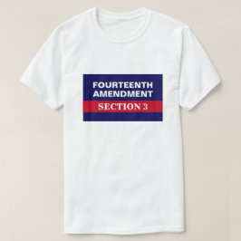 Fjärde ändringen av avsnitt 3 Konstitutionen T Shirt