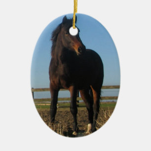 Fjärdhästprydnad Julgransprydnad Keramik
