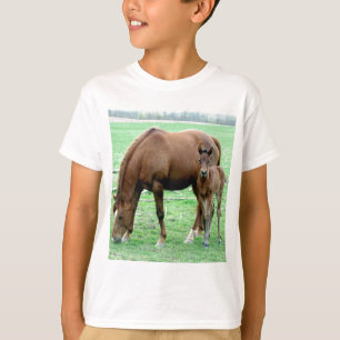 FjärdMare och henne Colt Tröja