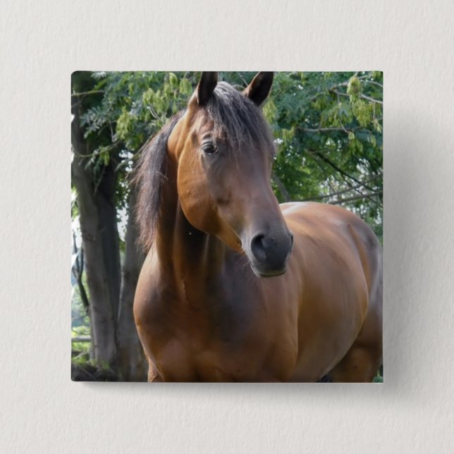 FjärdThoroughbredhästen kvadrerar klämmer fast Knapp (Framsida)