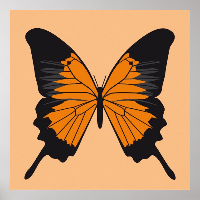 fjäril1 poster (Framsidan)