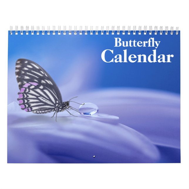 Fjäril 2027 kalender (Omslag)