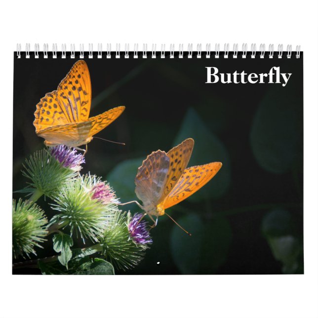 Fjäril 2027 kalender (Omslag)