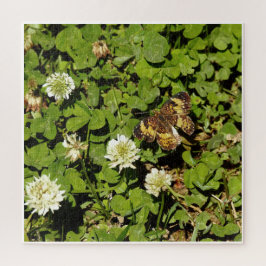 Fjäril bland blommor pussel