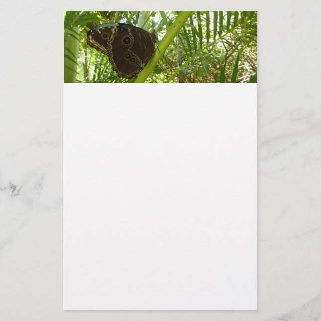 Fjäril Blue Morpho naturfotografering Brevpapper (Framsida)