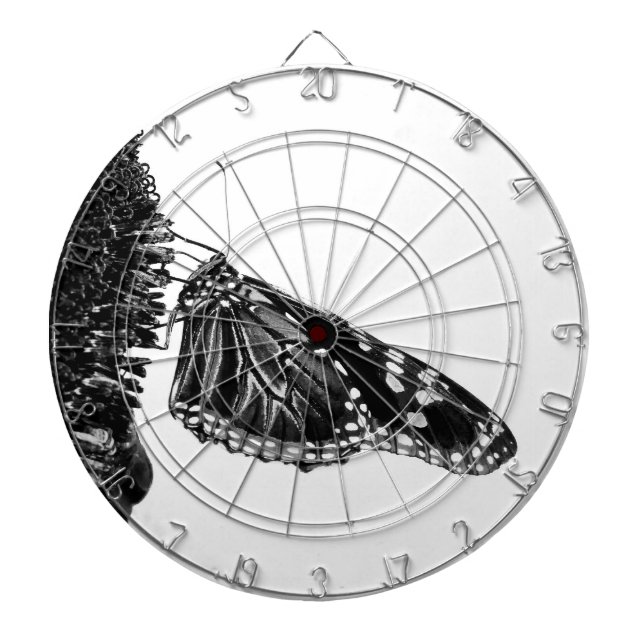 fjäril blyg blacq darttavla (Framsidan)