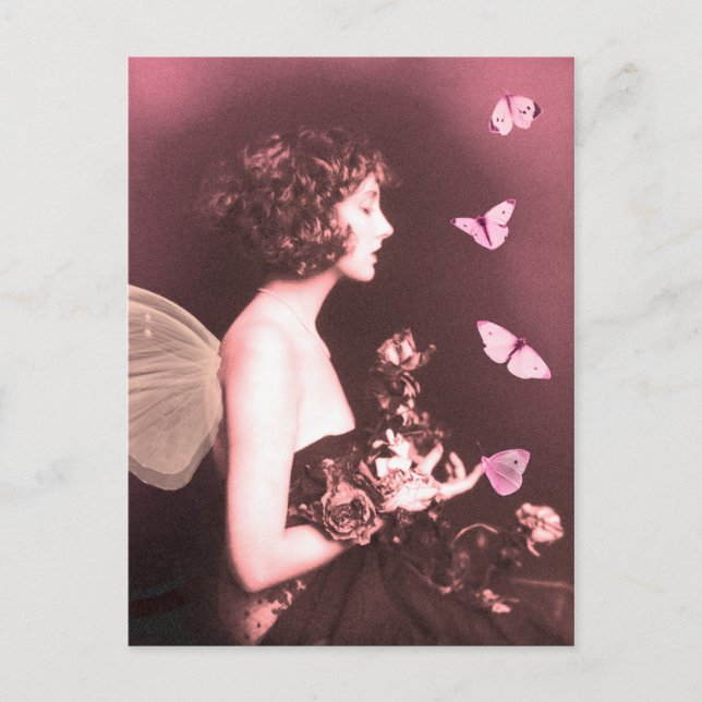 fjäril, fjäril vykort (Framsida)