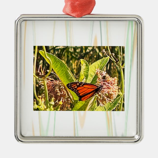 Fjäril Foto Ornament (Framsidan)