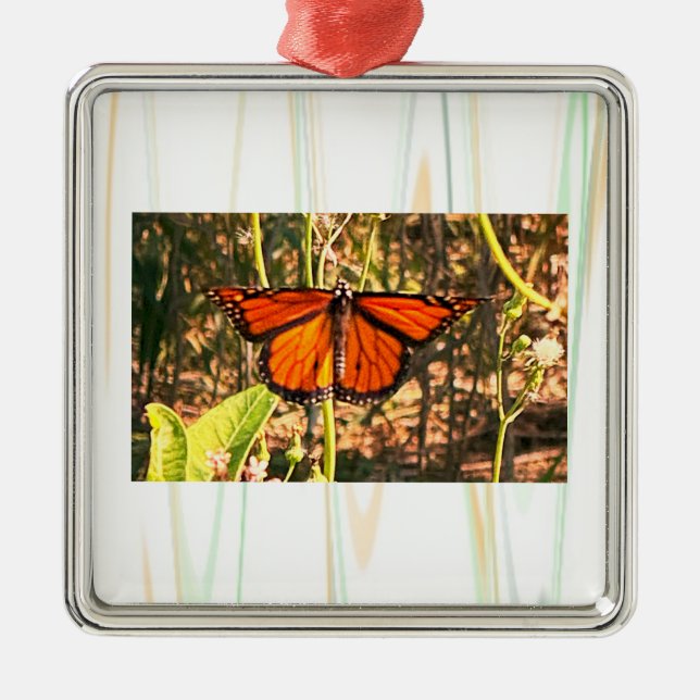 Fjäril Foto Ornament  (Framsidan)