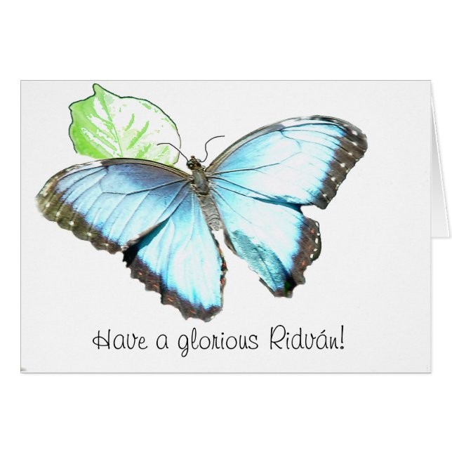 Fjäril Hälsningskort (Framsidan Horizontal)