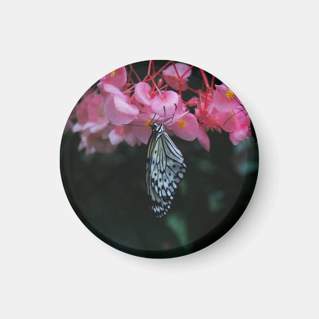 Fjäril hängande från blommor magnet (Framsidan)