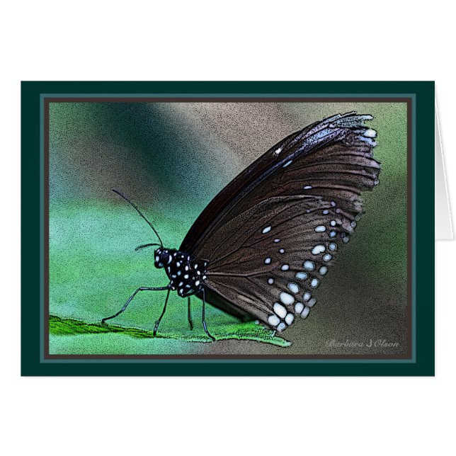 Fjäril i Aqua Hälsningskort (Framsidan Horizontal)