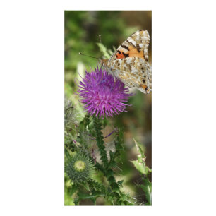 Fjäril i naturfotografering Rackcard Reklamkort