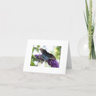Fjäril Kort