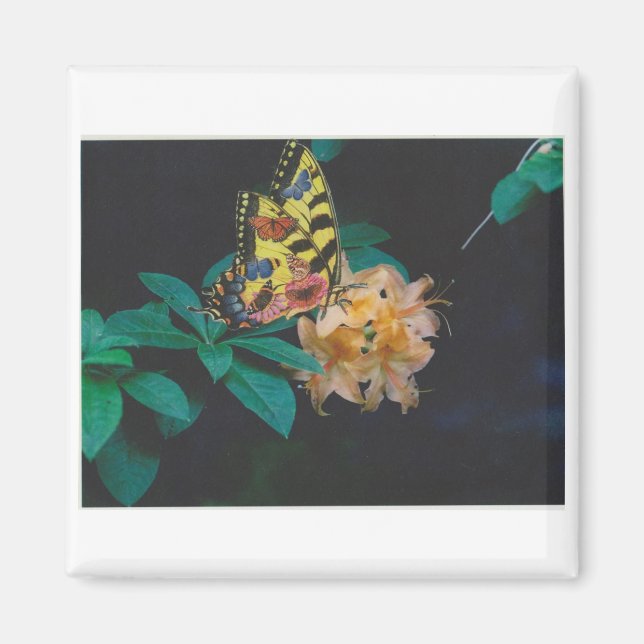 fjäril magnet (Framsidan)