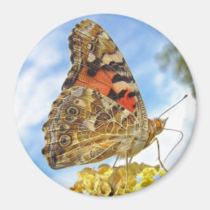 Fjäril målad dammagnet magnet