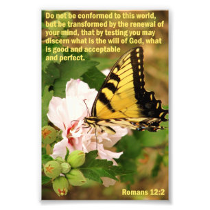 Fjäril med Romans12:2 Fototryck