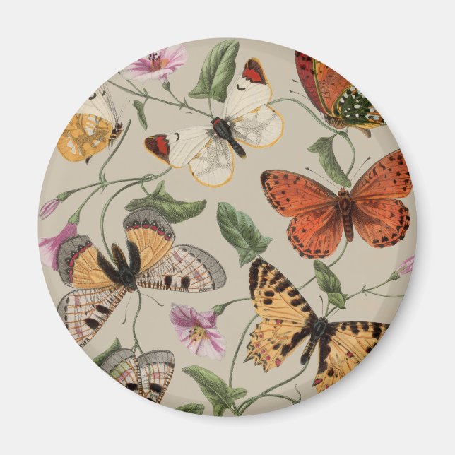 Fjäril Moth Natur Ritning antikt akvarell Magnet (Framsidan)