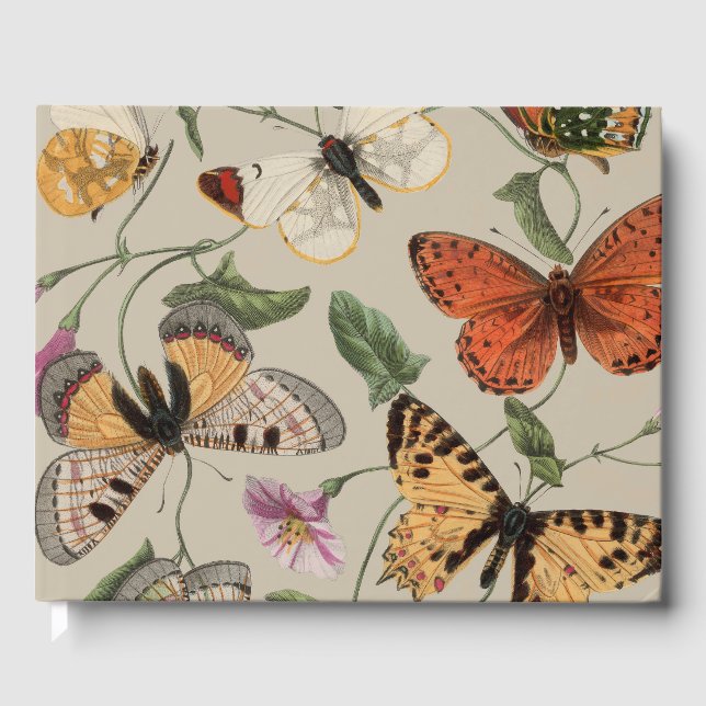 Fjäril Moth Natursamling Ritning Gästböcker (Framsida)