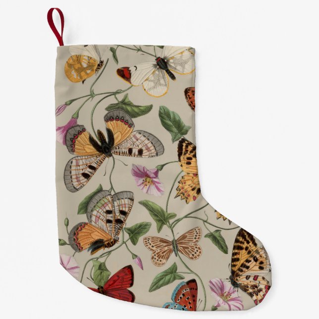 Fjäril Moth Natursamling Ritning Liten Julstrumpa (Framsidan)