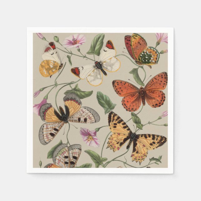 Fjäril Moth Natursamling Ritning Pappersservett (Framsidan)