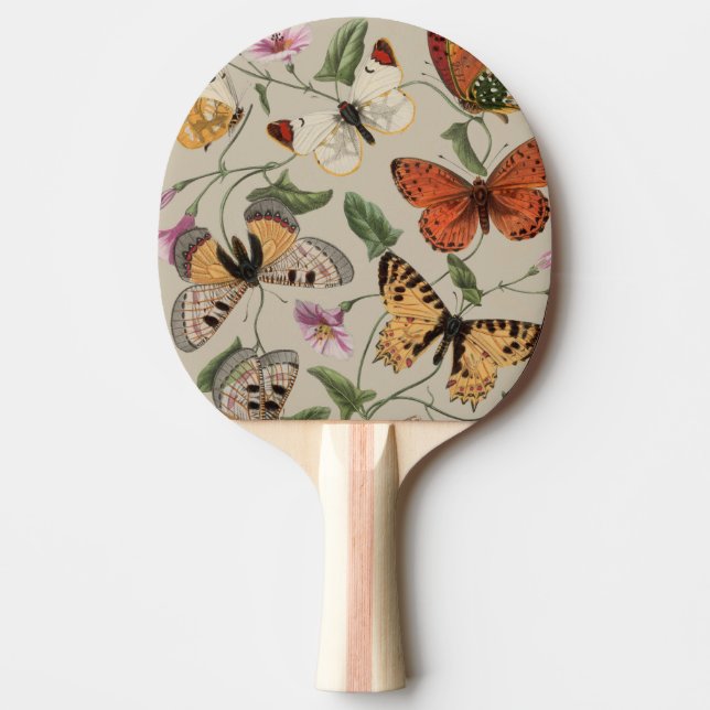 Fjäril Moth Natursamling Ritning Pingisracket (Framsidan)