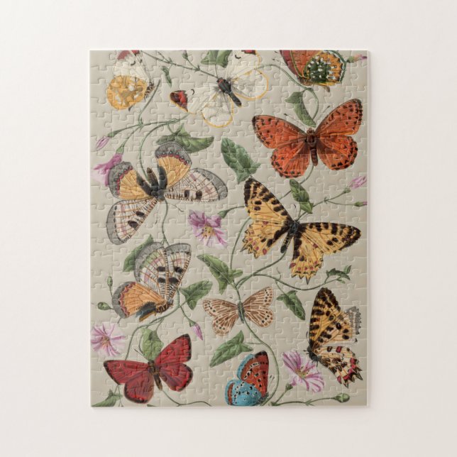Fjäril Moth Natursamling Ritning Pussel (Vertikal)