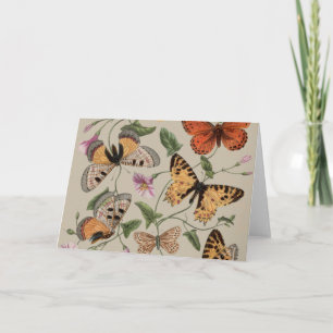 Fjäril Moth Natursamling Ritning Tack Kort