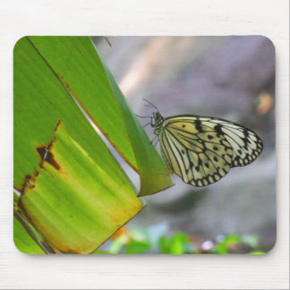 Fjäril Mousepad för papper för trädNymphris Musmatta