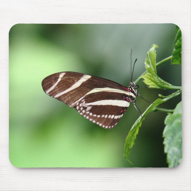 Fjäril Mousepad Musmatta (Framsidan)