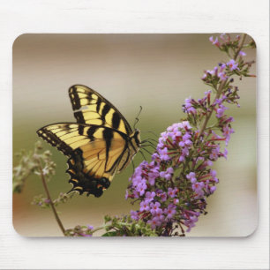 Fjäril Mousepad Musmatta