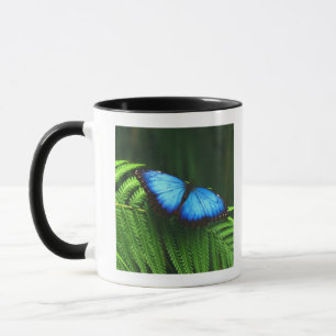 fjäril mugg