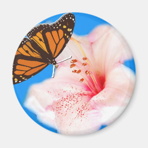 fjäril och blomma magnet