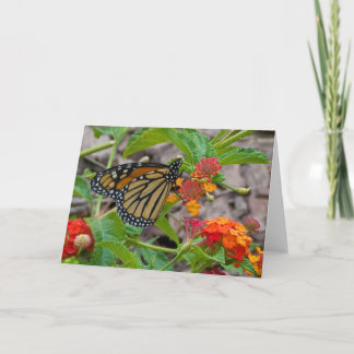 Fjäril och Lantana Kort