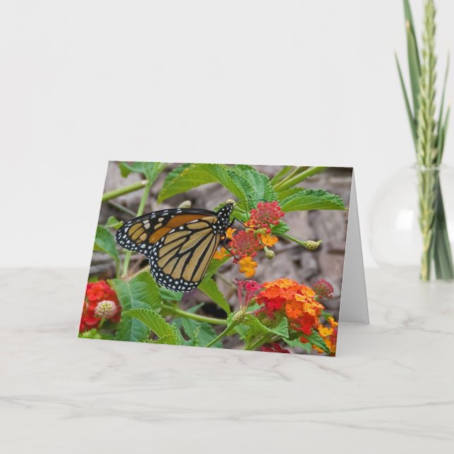 Fjäril och Lantana Kort (Framsida)