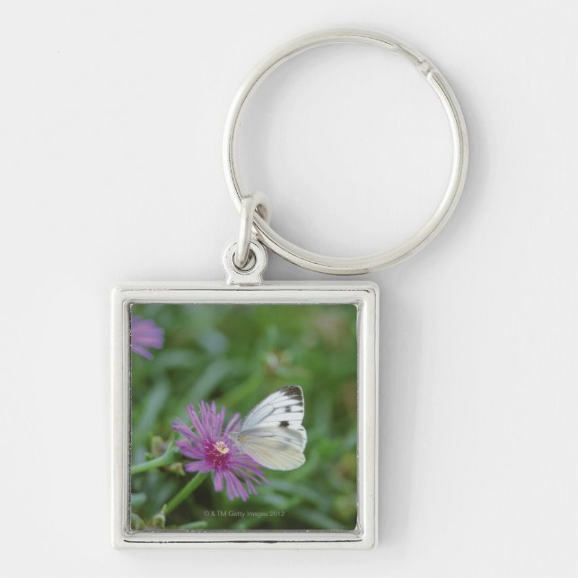 Fjäril på blomma fyrkantig silverfärgad nyckelring (Framsidan)